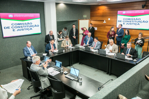 Deputado Mauro de Nadal (MDB) 	 - Deputado Pepê Collaço (PP) - Deputado Volnei Weber (MDB)
 - Deputado Mauricio Peixer (PL)	 - Deputado Sargento Lima (PL)  - Deputado Napoleão Bernardes (PSD) 	
	 - Deputado Fabiano da Luz (PT)