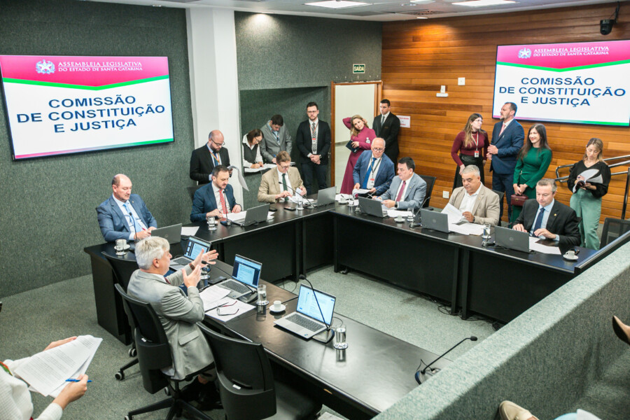 Deputado Mauro de Nadal (MDB) 	 - Deputado Pepê Collaço (PP) - Deputado Volnei Weber (MDB)
 - Deputado Mauricio Peixer (PL)	 - Deputado Sargento Lima (PL)  - Deputado Napoleão Bernardes (PSD) 	
	 - Deputado Fabiano da Luz (PT)