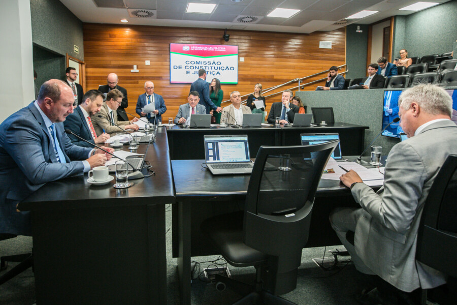 Deputado Mauro de Nadal (MDB) 	 - Deputado Pepê Collaço (PP) - Deputado Volnei Weber (MDB)
 - Deputado Mauricio Peixer (PL)	 - Deputado Sargento Lima (PL)  - Deputado Napoleão Bernardes (PSD) 	
	 - Deputado Fabiano da Luz (PT)