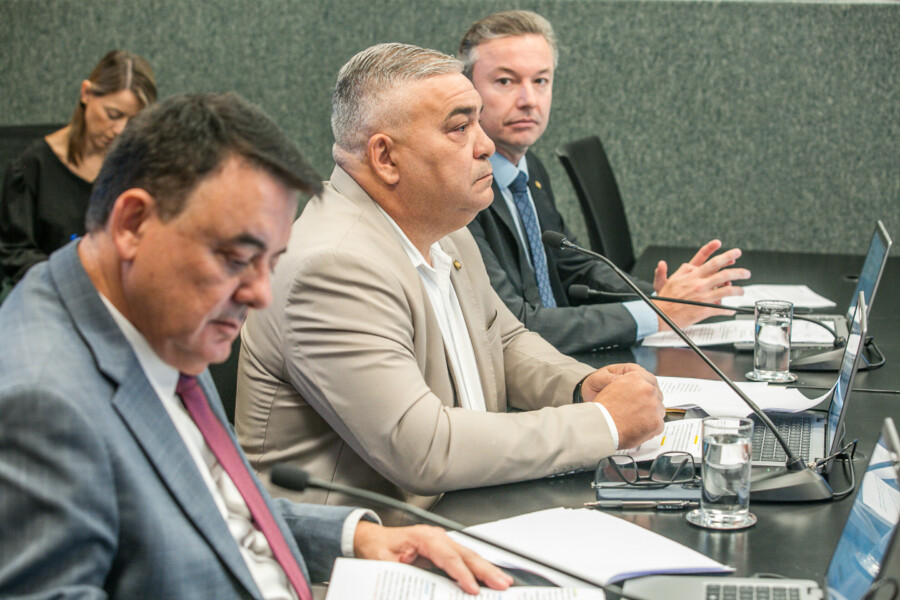 - Deputado Mauricio Peixer (PL)	
- Deputado Sargento Lima (PL) 	 - Deputado Napoleão Bernardes (PSD)
