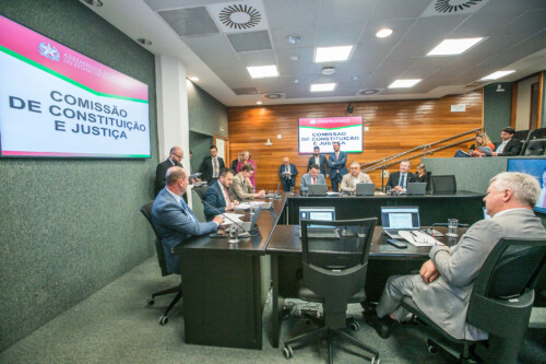 Deputado Mauro de Nadal (MDB) 	 - Deputado Pepê Collaço (PP) - Deputado Volnei Weber (MDB)
 - Deputado Mauricio Peixer (PL)	 - Deputado Sargento Lima (PL)  - Deputado Napoleão Bernardes (PSD) 	
	 - Deputado Fabiano da Luz (PT)