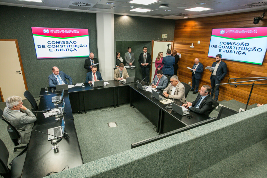 Deputado Mauro de Nadal (MDB) 	 - Deputado Pepê Collaço (PP) - Deputado Volnei Weber (MDB)
 - Deputado Mauricio Peixer (PL)	 - Deputado Sargento Lima (PL)  - Deputado Napoleão Bernardes (PSD) 	
	 - Deputado Fabiano da Luz (PT)