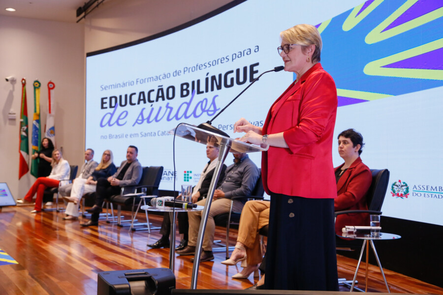 - Deputada Luciane Carminatti (PT)
