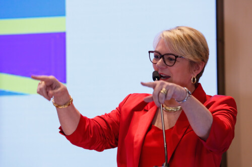 - Deputada Luciane Carminatti (PT)