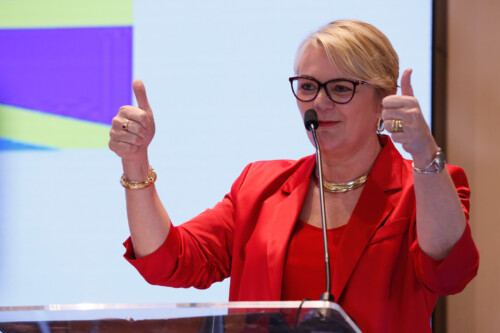- Deputada Luciane Carminatti (PT)