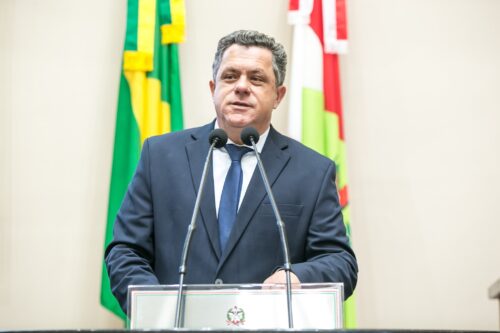Naatz propõe reflexão e debate sobre eficácia de políticas públicas de proteção à mulher