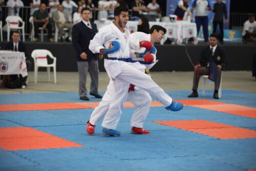Aprovado PL que amplia Programa Bolsa Atleta a nascidos em outros estados