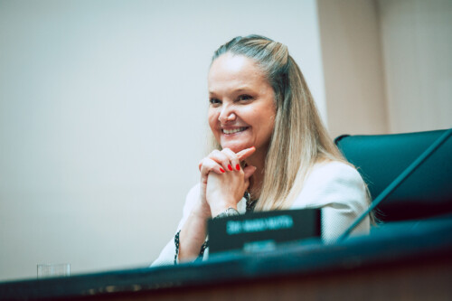 - Vanessa Cavallazzi - Procuradora Geral de Justiça de Santa Catarina