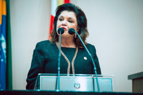 - Marilisa Boehm - VICE - GOVERNADORA SC