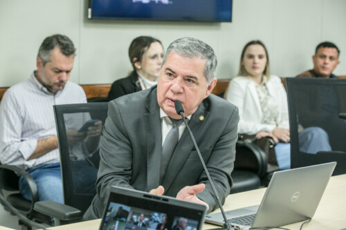 - Deputado Mário Motta (PSD)