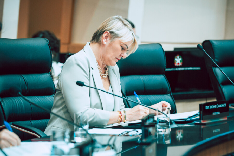 - Deputada Luciane Carminatti (PT)