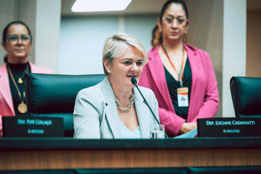 - Deputada Luciane Carminatti (PT)