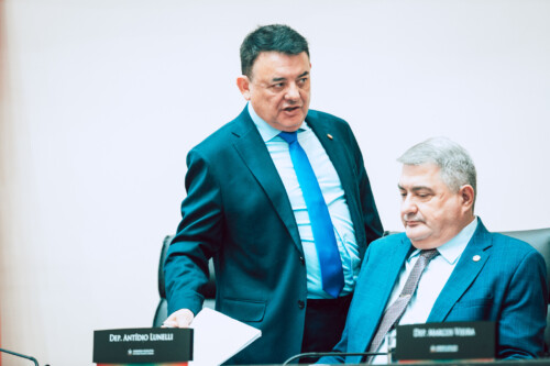 - Deputado Mauricio Peixer (PL)	
- Deputado Antídio Lunelli (MDB)