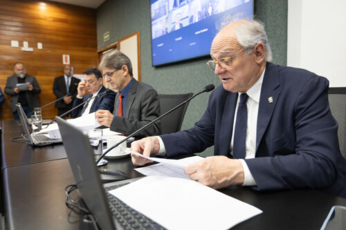 - Deputado Mauricio Peixer (PL)	 - Deputado Neodi Saretta (PT) 	

 - Deputado Dr. Vicente Caropreso (PSDB)