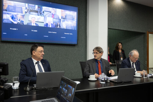 - Deputado Mauricio Peixer (PL)	 - Deputado Neodi Saretta (PT) 	

 - Deputado Dr. Vicente Caropreso (PSDB)