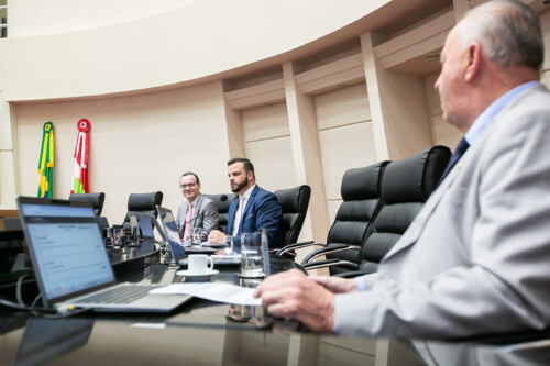 -Dr. Fernando Vecchi Martins - Presidente da Sociedade Catarinense de Mastologia - Deputado Lucas Neves (Podemos) 	
 Deputado Oscar Gutz (PL)