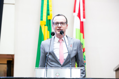 -Dr. Fernando Vecchi Martins - Presidente da Sociedade Catarinense de Mastologia