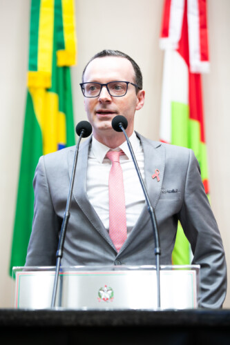 -Dr. Fernando Vecchi Martins - Presidente da Sociedade Catarinense de Mastologia
