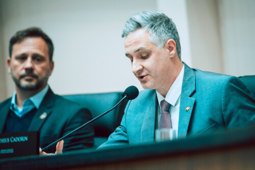 - Deputado Matheus Cadorin (NOVO)