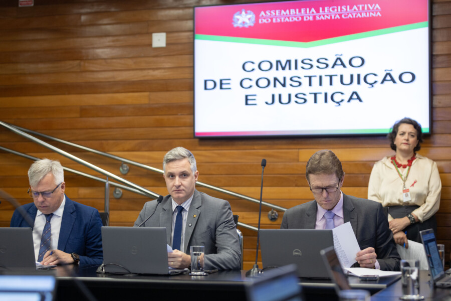 - Deputado Fabiano da Luz (PT) 	
- Deputado Matheus Cadorin (NOVO) 	
 - Deputado Volnei Weber (MDB)