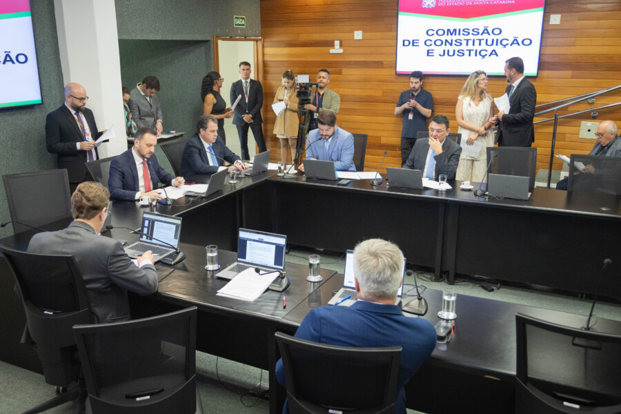 - Deputado Pepê Collaço (PP) - Deputado Rodrigo Minotto (PDT) 
 
  - Deputado Alex Brasil (PL)- Deputado Mauricio Peixer (PL)