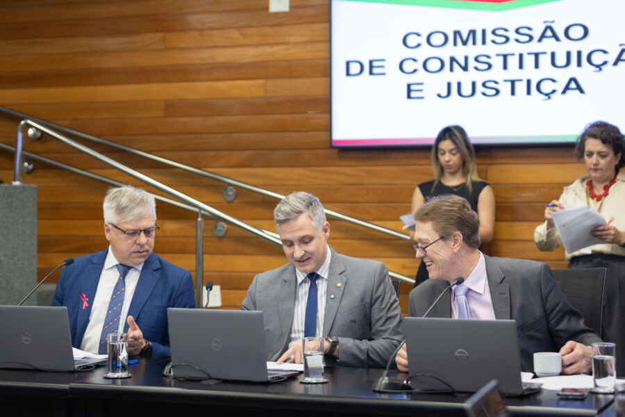 - Deputado Fabiano da Luz (PT) 	
- Deputado Matheus Cadorin (NOVO) 	
 - Deputado Volnei Weber (MDB)