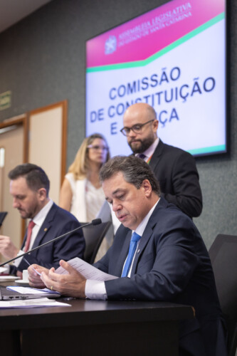 - Deputado Rodrigo Minotto (PDT)