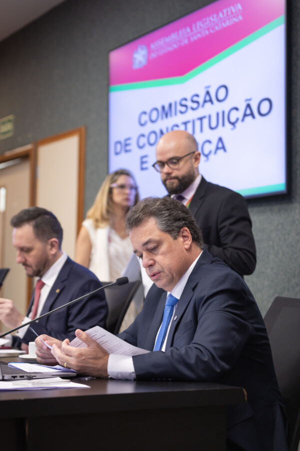 - Deputado Rodrigo Minotto (PDT)