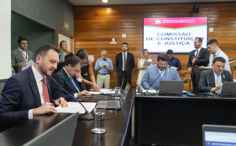 - Deputado Pepê Collaço (PP) - Deputado Rodrigo Minotto (PDT) 

 - Deputado Alex Brasil (PL)
 - Deputado Mauricio Peixer (PL)