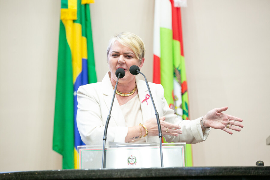 - Deputada Luciane Carminatti (PT)