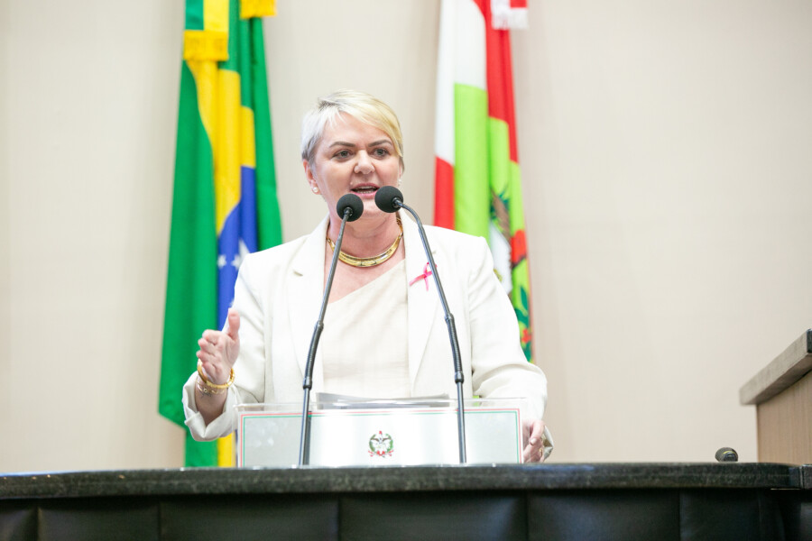 - Deputada Luciane Carminatti (PT)