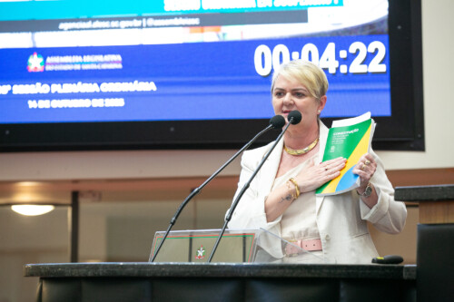 - Deputada Luciane Carminatti (PT)