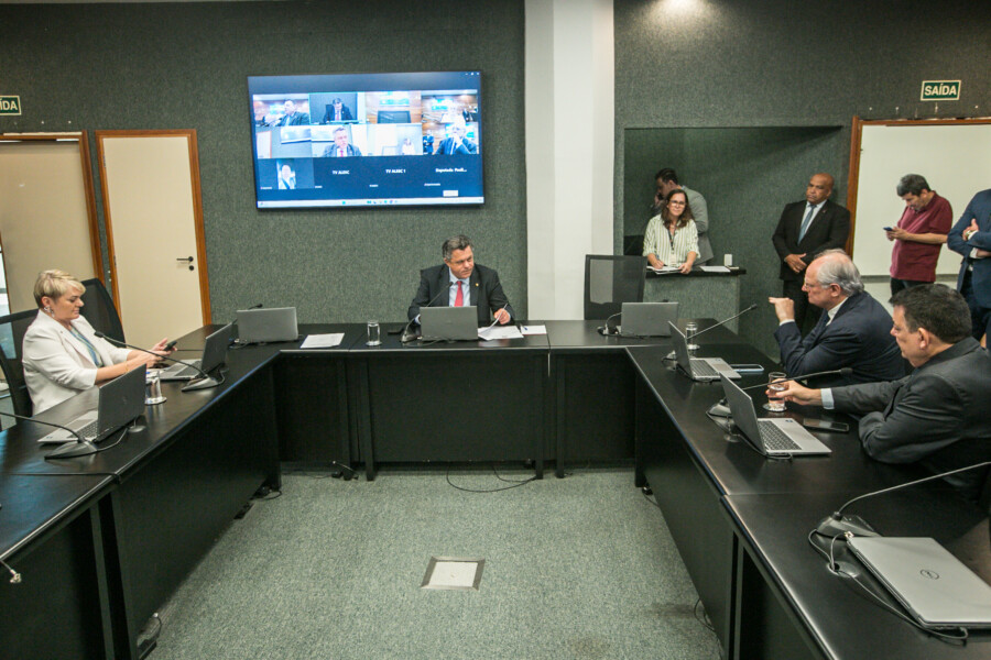 - Deputada Luciane Carminatti (PT) 	 - Deputado Ivan Naatz (PL)
	
 - Deputado Dr. Vicente Caropreso (PSDB) 
 - Deputado Mauricio Peixer (PL)