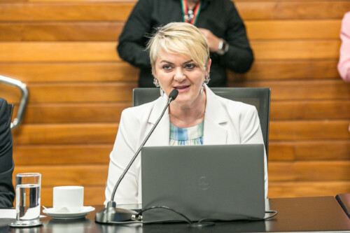 - Deputada Luciane Carminatti (PT)