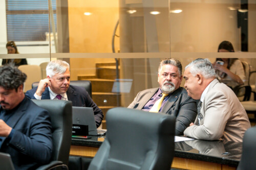 - Deputado Fabiano da Luz (PT) 	
 - Deputado Sergio Motta (Republicanos)
 - Deputado Sargento Lima (PL)