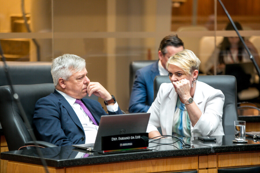 - Deputado Fabiano da Luz (PT) 	
 - Deputada Luciane Carminatti (PT)