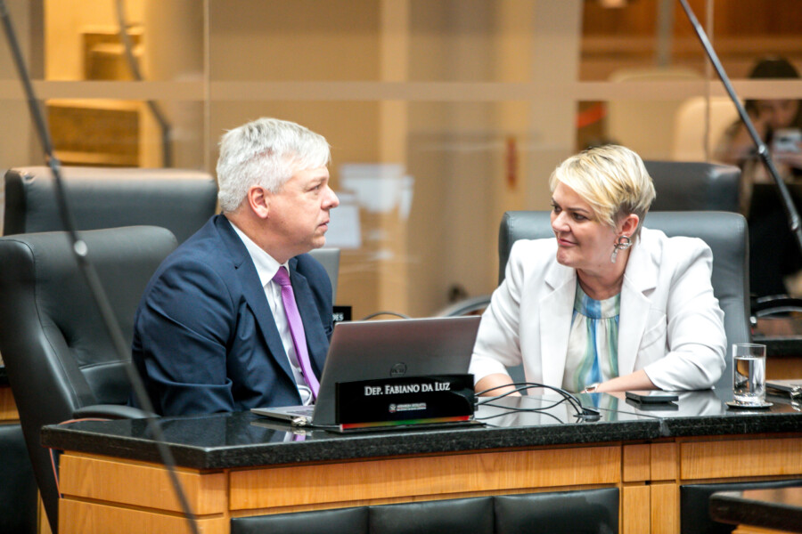 - Deputado Fabiano da Luz (PT) 	
 - Deputada Luciane Carminatti (PT)
