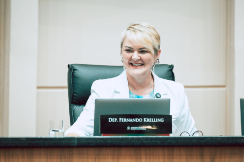 - Deputada Luciane Carminatti (PT)