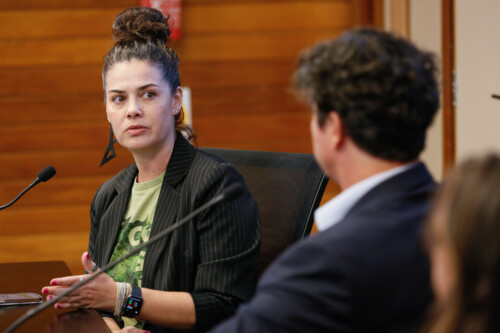 Representante do CREA:
Elizangela Bortoluzz