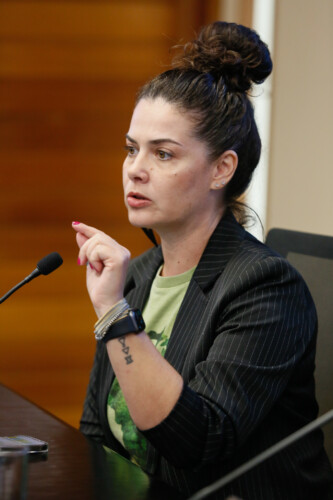 Representante do CREA:
Elizangela Bortoluzz