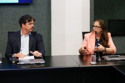Deputado Marquito, Representante do ICLEI:
Cibele Carneiro