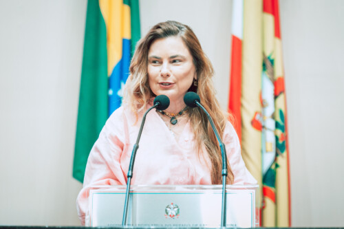 - Deputada Paulinha (Podemos)