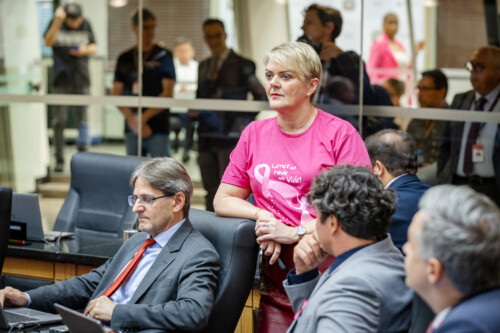 - Deputada Luciane Carminatti (PT)