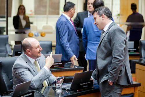 - Deputado Mauro de Nadal (MDB)