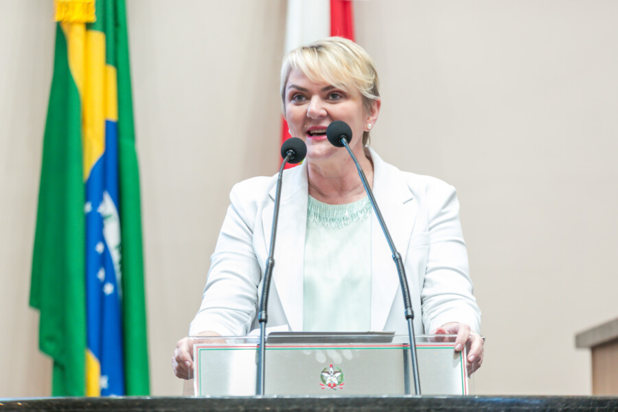 - Deputada Luciane Carminatti (PT)