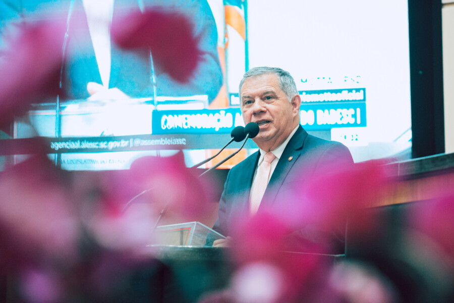 - Deputado Mário Motta (PSD)