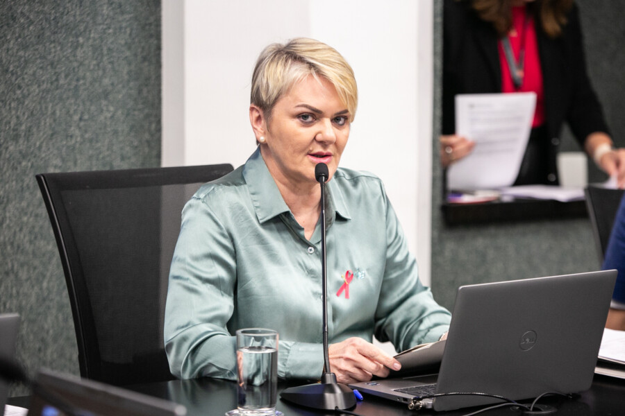 - Deputada Luciane Carminatti (PT)