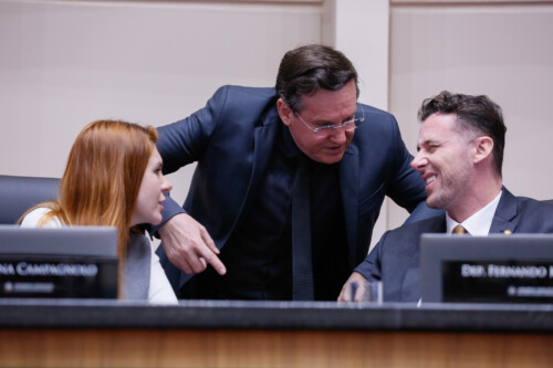 - Deputada Ana Campagnolo (PL) - Deputado Jair Miotto (União) 	- Deputado Fernando Krelling (MDB)