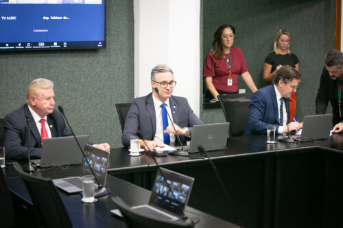 - Deputado Nilso Berlanda (PL)
 - Deputado Matheus Cadorin (NOVO) 	
 - Deputado Jair Miotto (União)