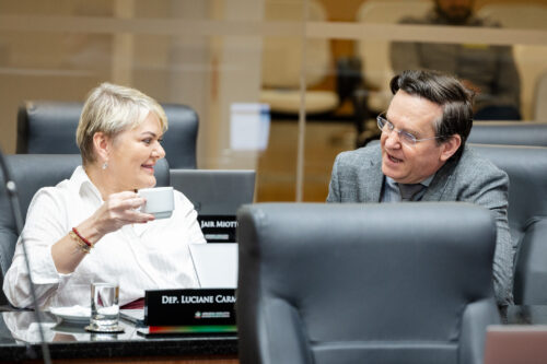 - Deputada Luciane Carminatti (PT) 	 - Deputado Jair Miotto (União)